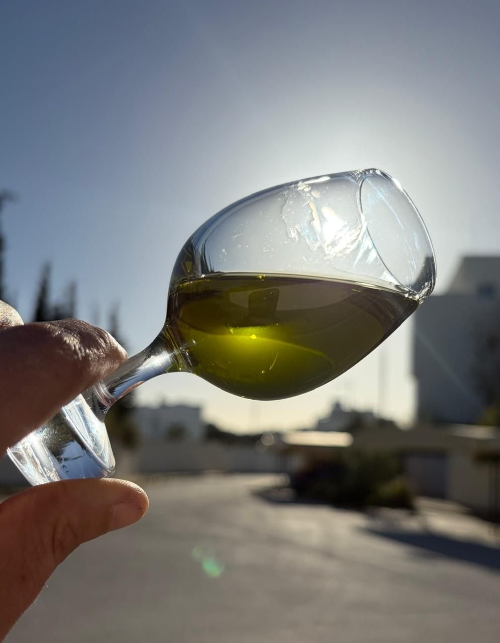 Huile SHAMS dans un verre de dégustation, à contre-jour